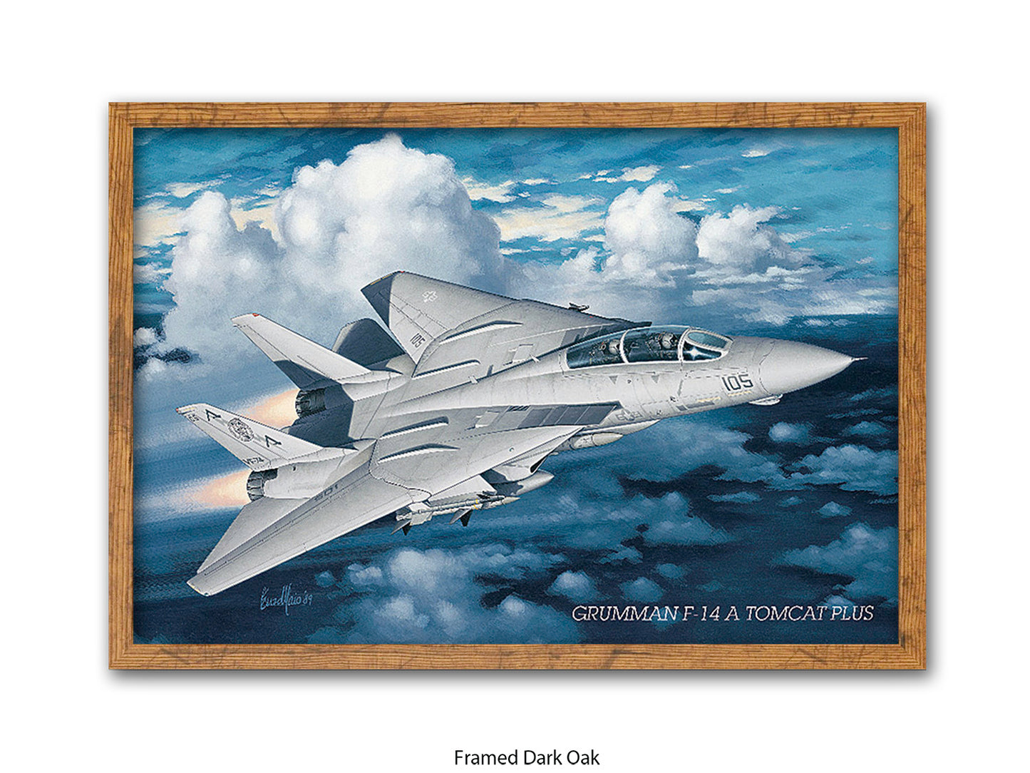 Grumman F-14 Tomcat Aviation Poster