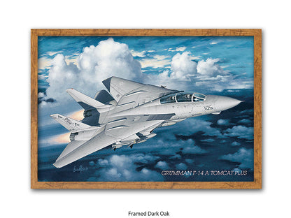 Grumman F-14 Tomcat Aviation Poster