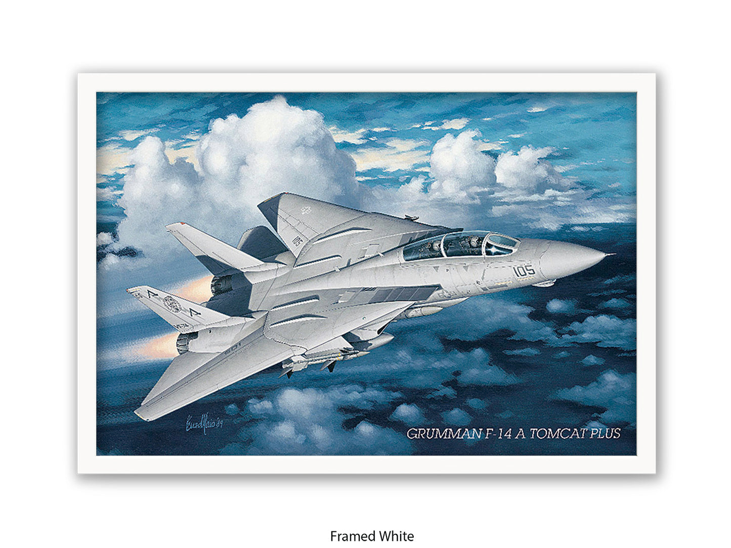 Grumman F-14 Tomcat Aviation Poster