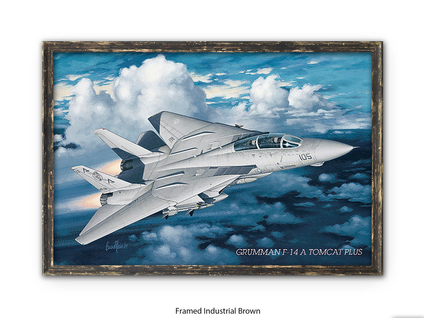 Grumman F-14 Tomcat Aviation Poster