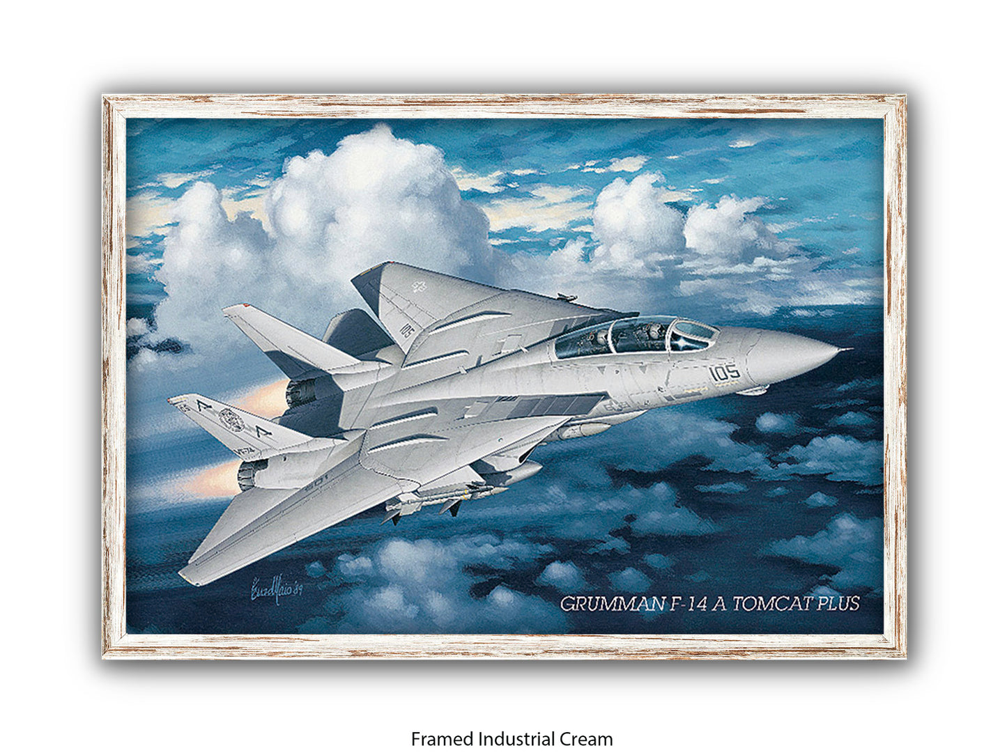 Grumman F-14 Tomcat Aviation Poster