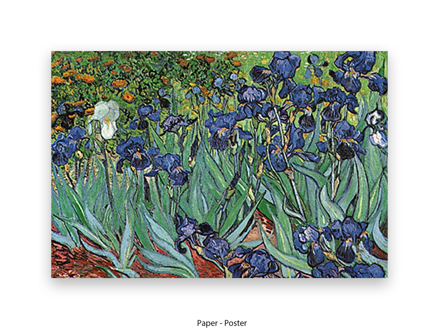 Irises by Van Gogh Poster Print | Vincent Van Gogh Wall Art | Classic Post-Impressionist Botanical Print | Purple Iris Garden Artwork