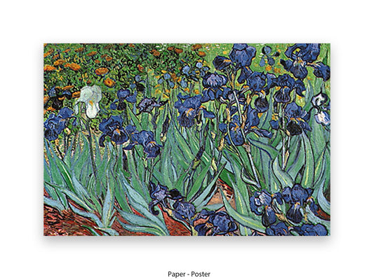 Irises by Van Gogh Poster Print | Vincent Van Gogh Wall Art | Classic Post-Impressionist Botanical Print | Purple Iris Garden Artwork
