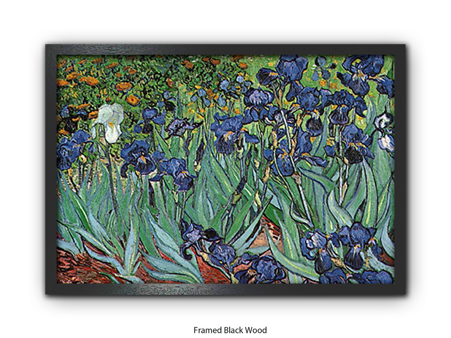 Irises by Van Gogh Poster Print | Vincent Van Gogh Wall Art | Classic Post-Impressionist Botanical Print | Purple Iris Garden Artwork