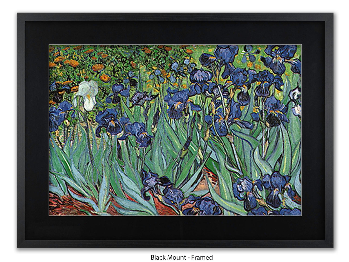 Irises by Van Gogh Poster Print | Vincent Van Gogh Wall Art | Classic Post-Impressionist Botanical Print | Purple Iris Garden Artwork