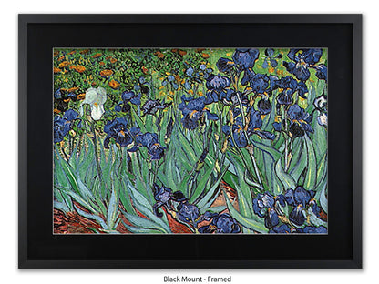 Irises by Van Gogh Poster Print | Vincent Van Gogh Wall Art | Classic Post-Impressionist Botanical Print | Purple Iris Garden Artwork