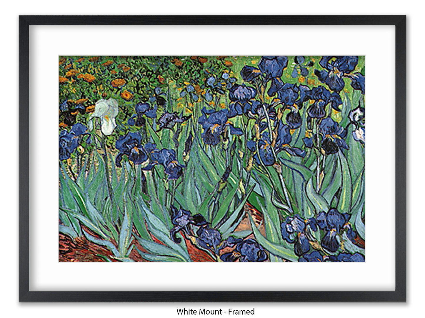 Irises by Van Gogh Poster Print | Vincent Van Gogh Wall Art | Classic Post-Impressionist Botanical Print | Purple Iris Garden Artwork