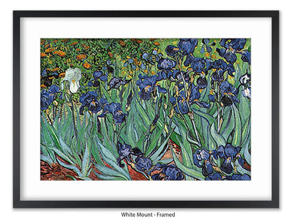 Irises by Van Gogh Poster Print | Vincent Van Gogh Wall Art | Classic Post-Impressionist Botanical Print | Purple Iris Garden Artwork