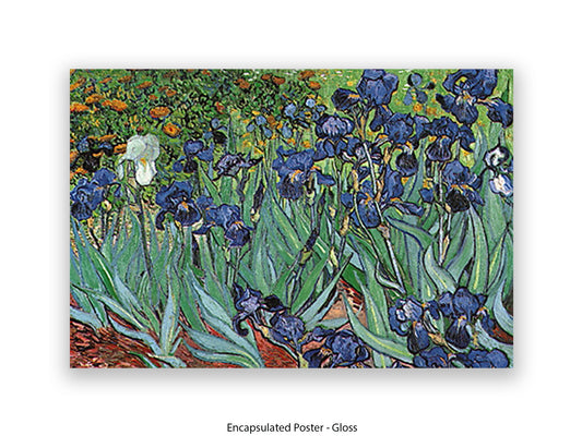 Irises by Van Gogh Poster Print | Vincent Van Gogh Wall Art | Classic Post-Impressionist Botanical Print | Purple Iris Garden Artwork