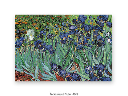 Irises by Van Gogh Poster Print | Vincent Van Gogh Wall Art | Classic Post-Impressionist Botanical Print | Purple Iris Garden Artwork