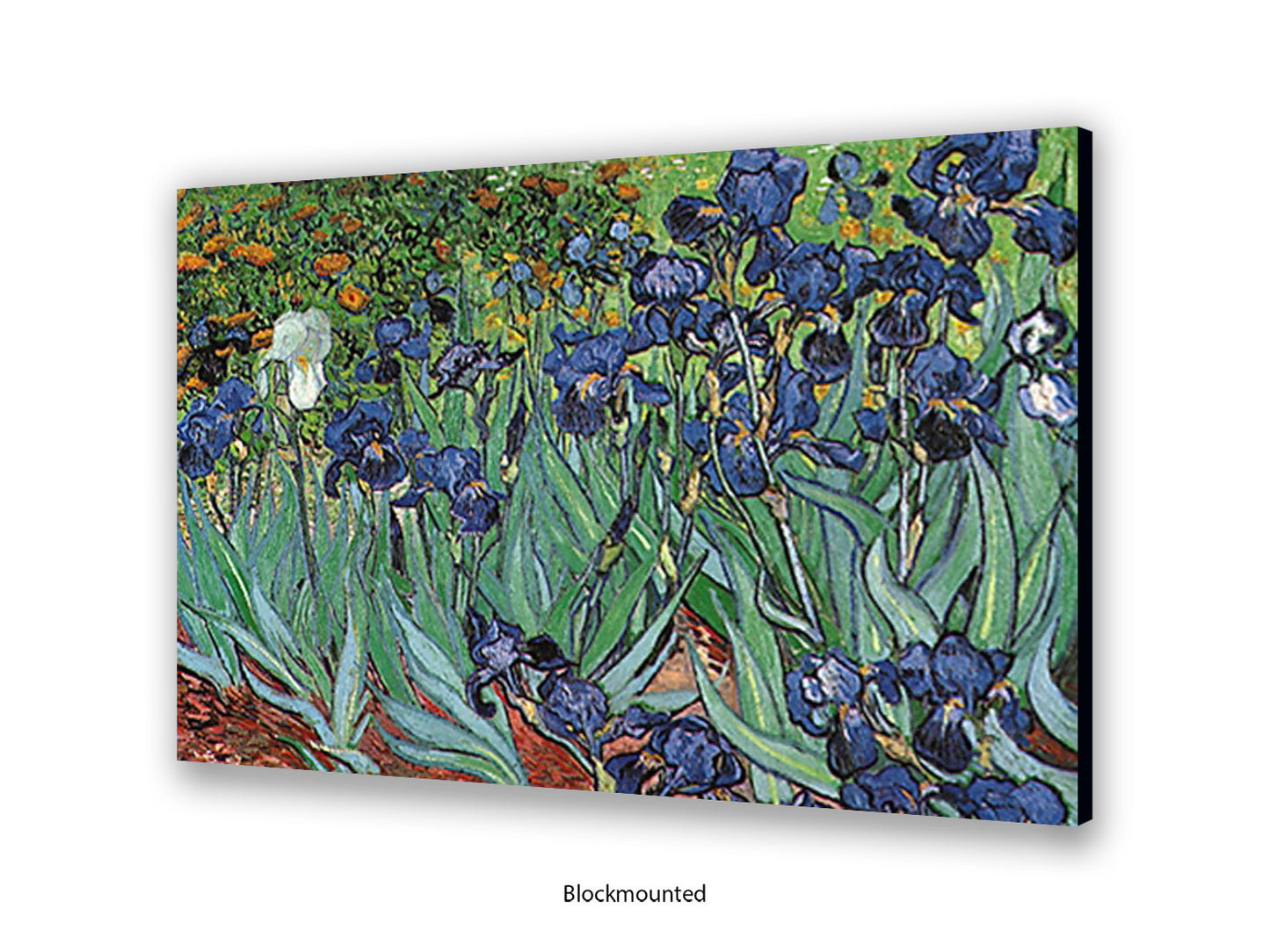 Irises by Van Gogh Poster Print | Vincent Van Gogh Wall Art | Classic Post-Impressionist Botanical Print | Purple Iris Garden Artwork