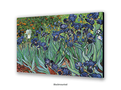 Irises by Van Gogh Poster Print | Vincent Van Gogh Wall Art | Classic Post-Impressionist Botanical Print | Purple Iris Garden Artwork