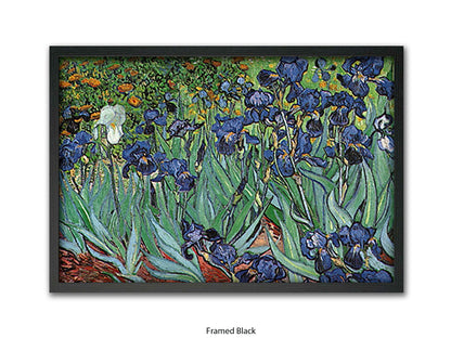 Irises by Van Gogh Poster Print | Vincent Van Gogh Wall Art | Classic Post-Impressionist Botanical Print | Purple Iris Garden Artwork