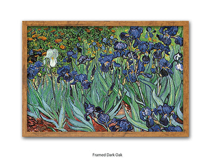 Irises by Van Gogh Poster Print | Vincent Van Gogh Wall Art | Classic Post-Impressionist Botanical Print | Purple Iris Garden Artwork