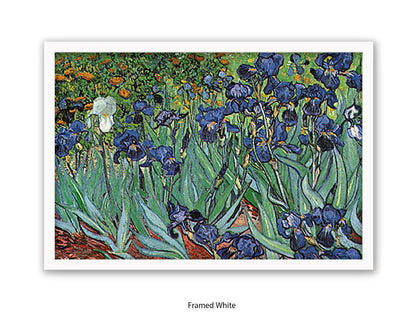 Irises by Van Gogh Poster Print | Vincent Van Gogh Wall Art | Classic Post-Impressionist Botanical Print | Purple Iris Garden Artwork