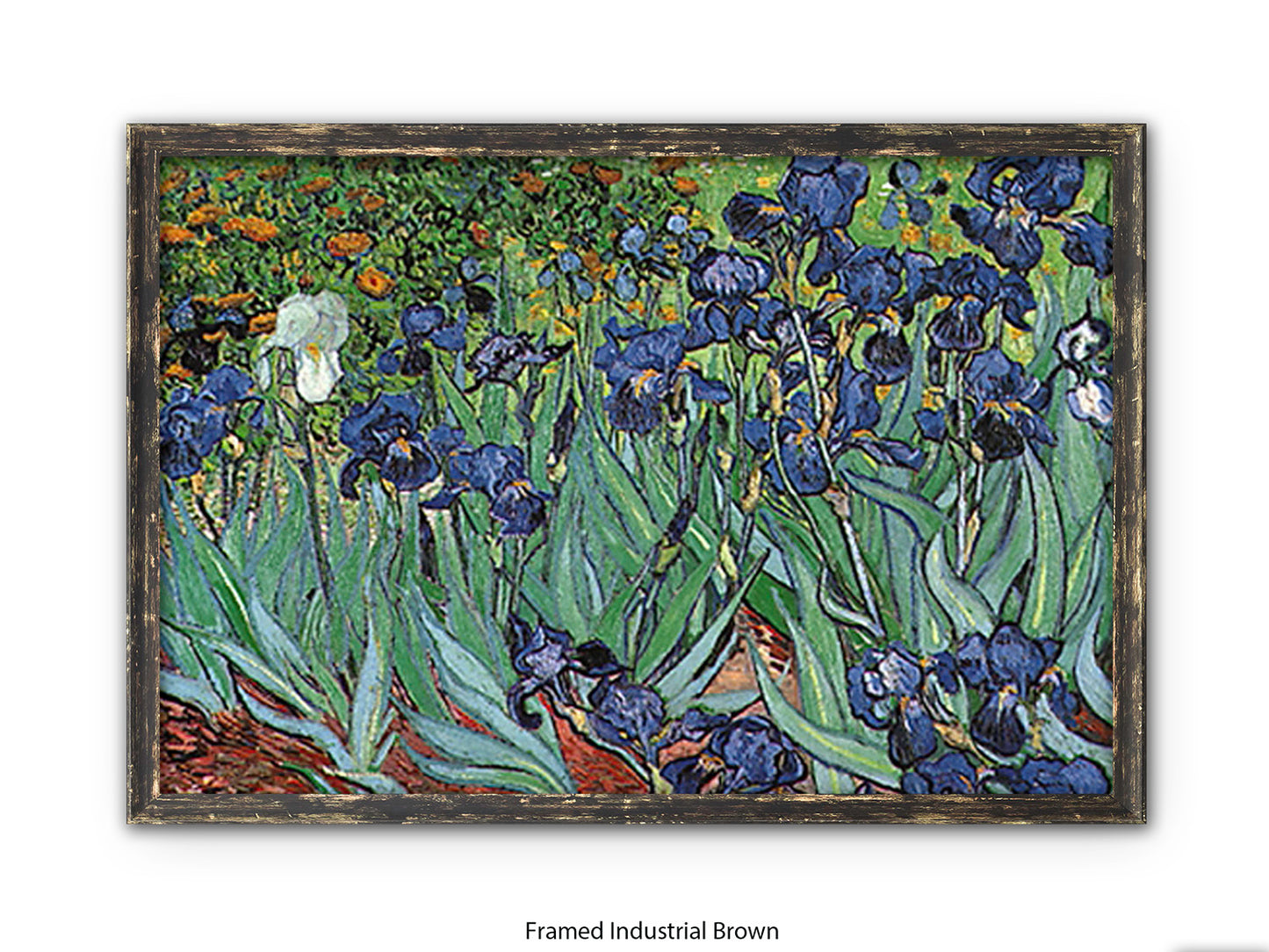 Irises by Van Gogh Poster Print | Vincent Van Gogh Wall Art | Classic Post-Impressionist Botanical Print | Purple Iris Garden Artwork