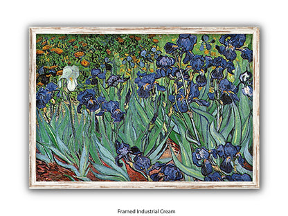 Irises by Van Gogh Poster Print | Vincent Van Gogh Wall Art | Classic Post-Impressionist Botanical Print | Purple Iris Garden Artwork