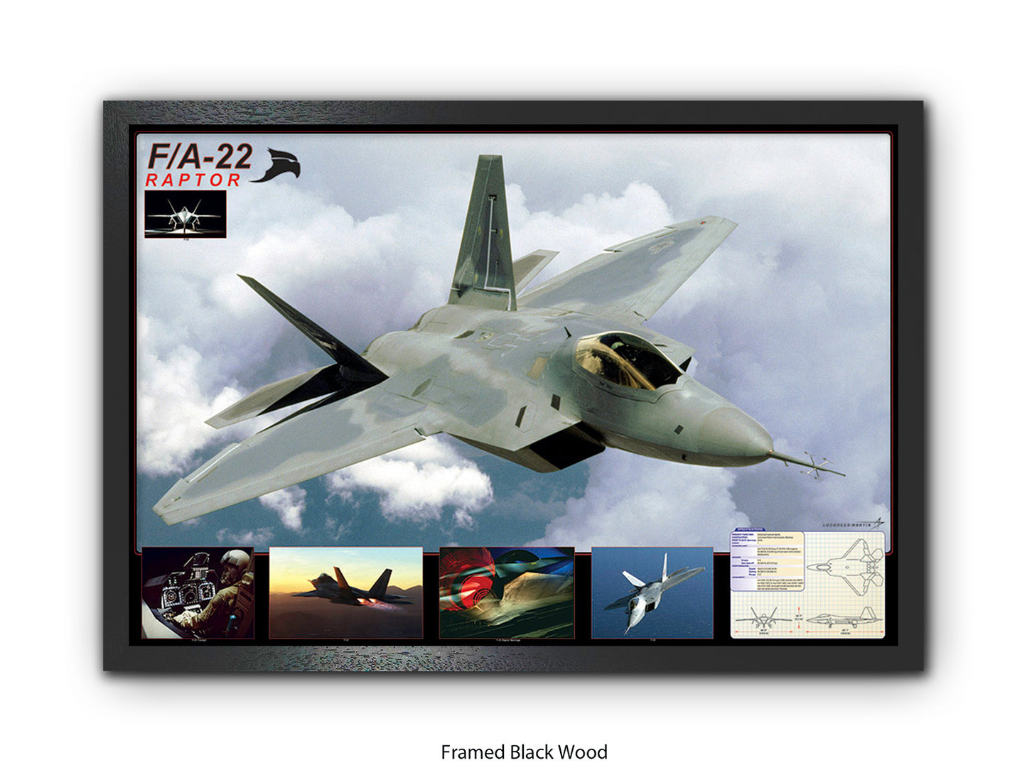 F/A-22 Raptor Stealth Fighter Poster
