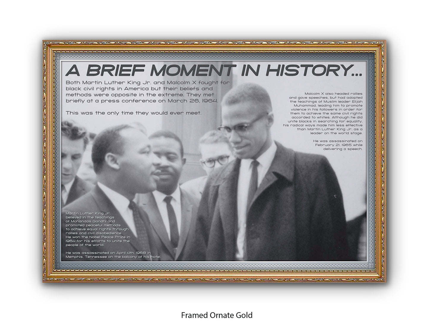 A Brief Moment in History Poster