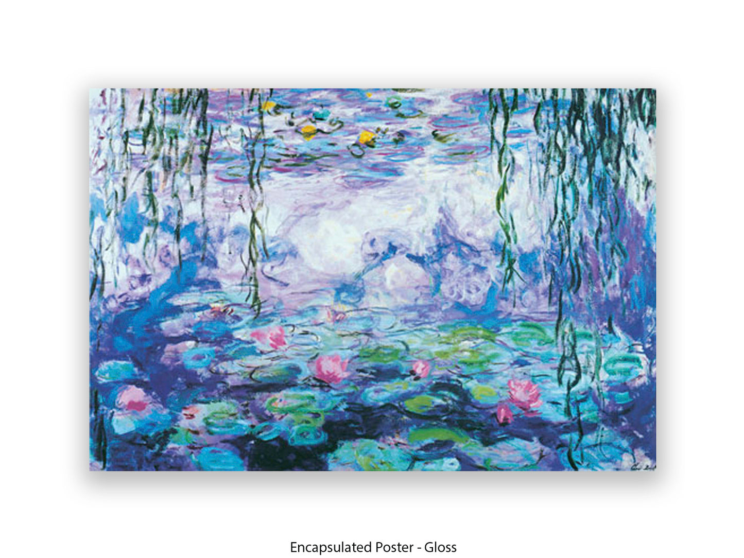 Monet Nympheas Water Lilies Poster