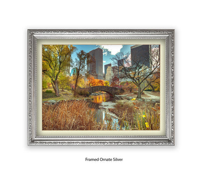 NYC Central Park Bridge Colour Assaf Frank Art Print