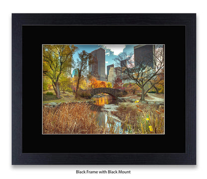 NYC Central Park Bridge Colour Assaf Frank Art Print