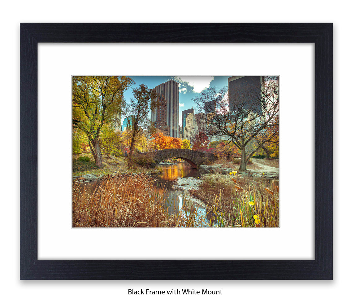 NYC Central Park Bridge Colour Assaf Frank Art Print