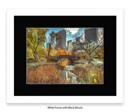 NYC Central Park Bridge Colour Assaf Frank Art Print