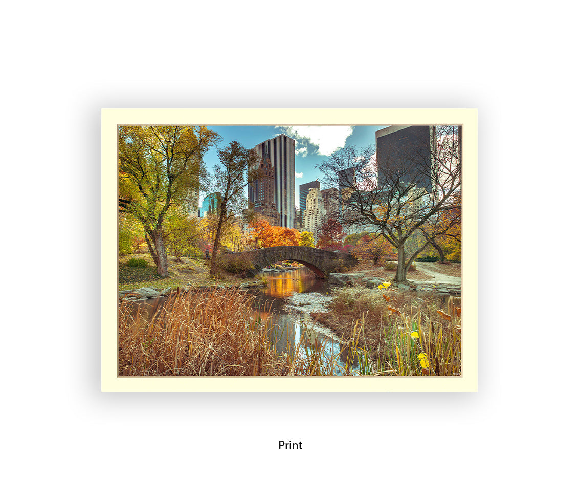 NYC Central Park Bridge Colour Assaf Frank Art Print