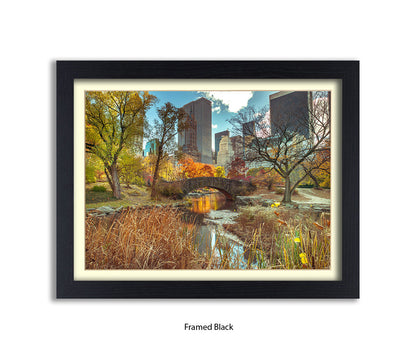NYC Central Park Bridge Colour Assaf Frank Art Print