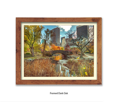 NYC Central Park Bridge Colour Assaf Frank Art Print