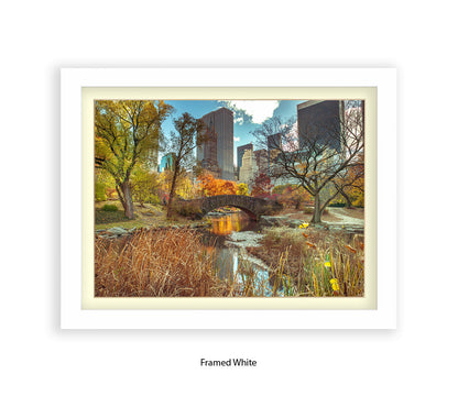 NYC Central Park Bridge Colour Assaf Frank Art Print