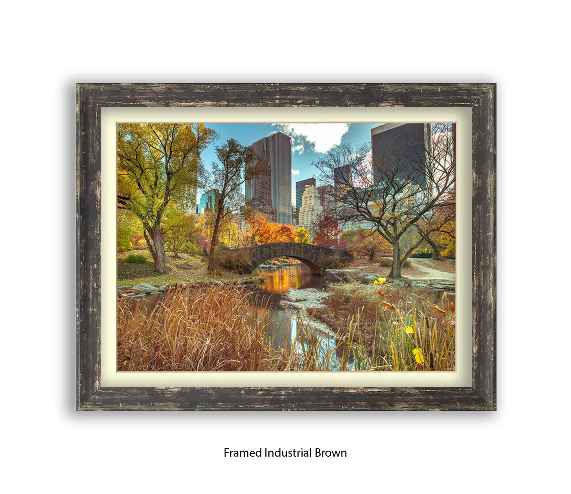 NYC Central Park Bridge Colour Assaf Frank Art Print