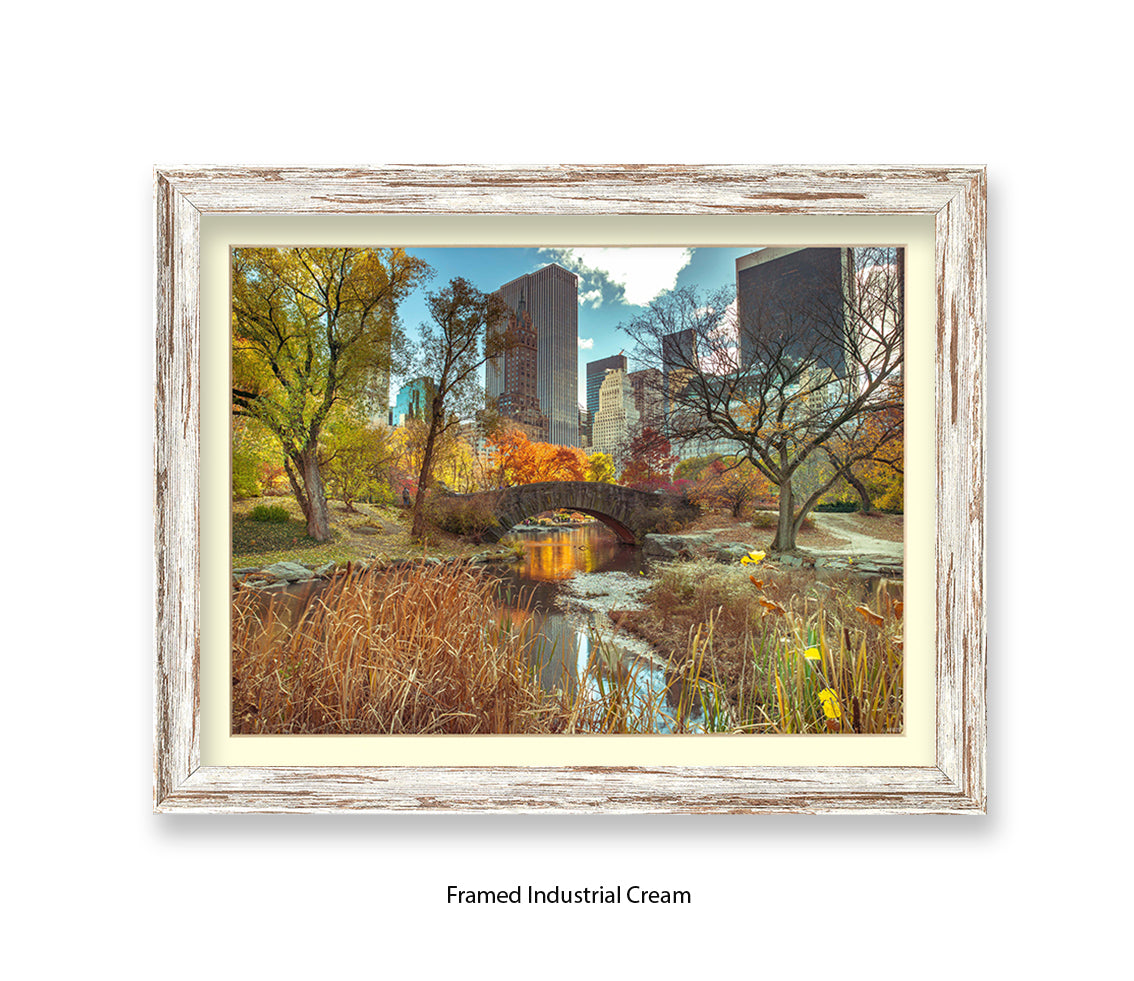 NYC Central Park Bridge Colour Assaf Frank Art Print