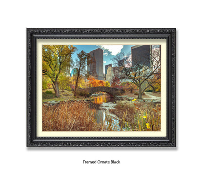 NYC Central Park Bridge Colour Assaf Frank Art Print