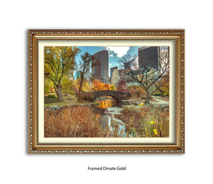 NYC Central Park Bridge Colour Assaf Frank Art Print