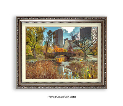 NYC Central Park Bridge Colour Assaf Frank Art Print