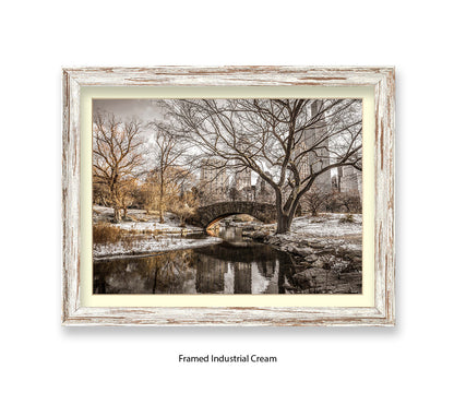 NYC Central Park Winters Day Assaf Frank Art Print