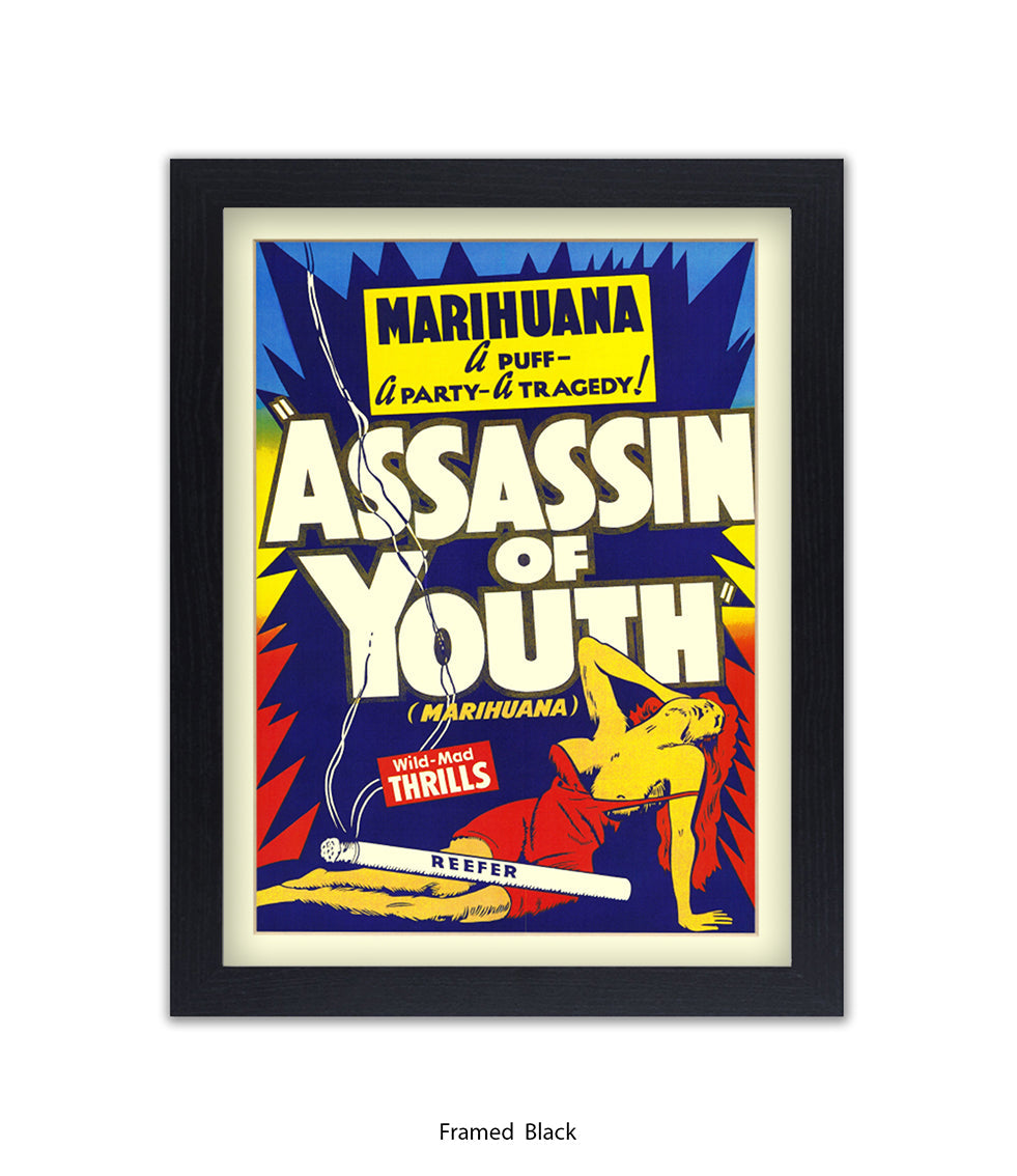 Assassin Of Youth Art Print