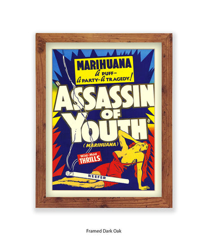 Assassin Of Youth Art Print