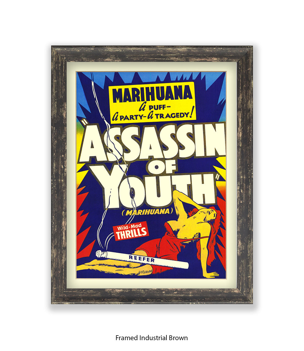 Assassin Of Youth Art Print