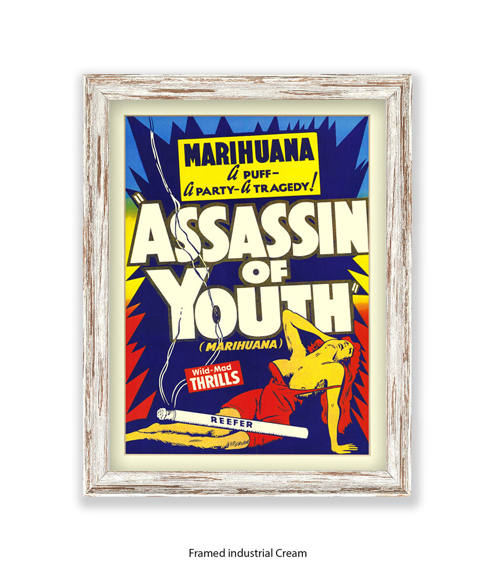 Assassin Of Youth Art Print
