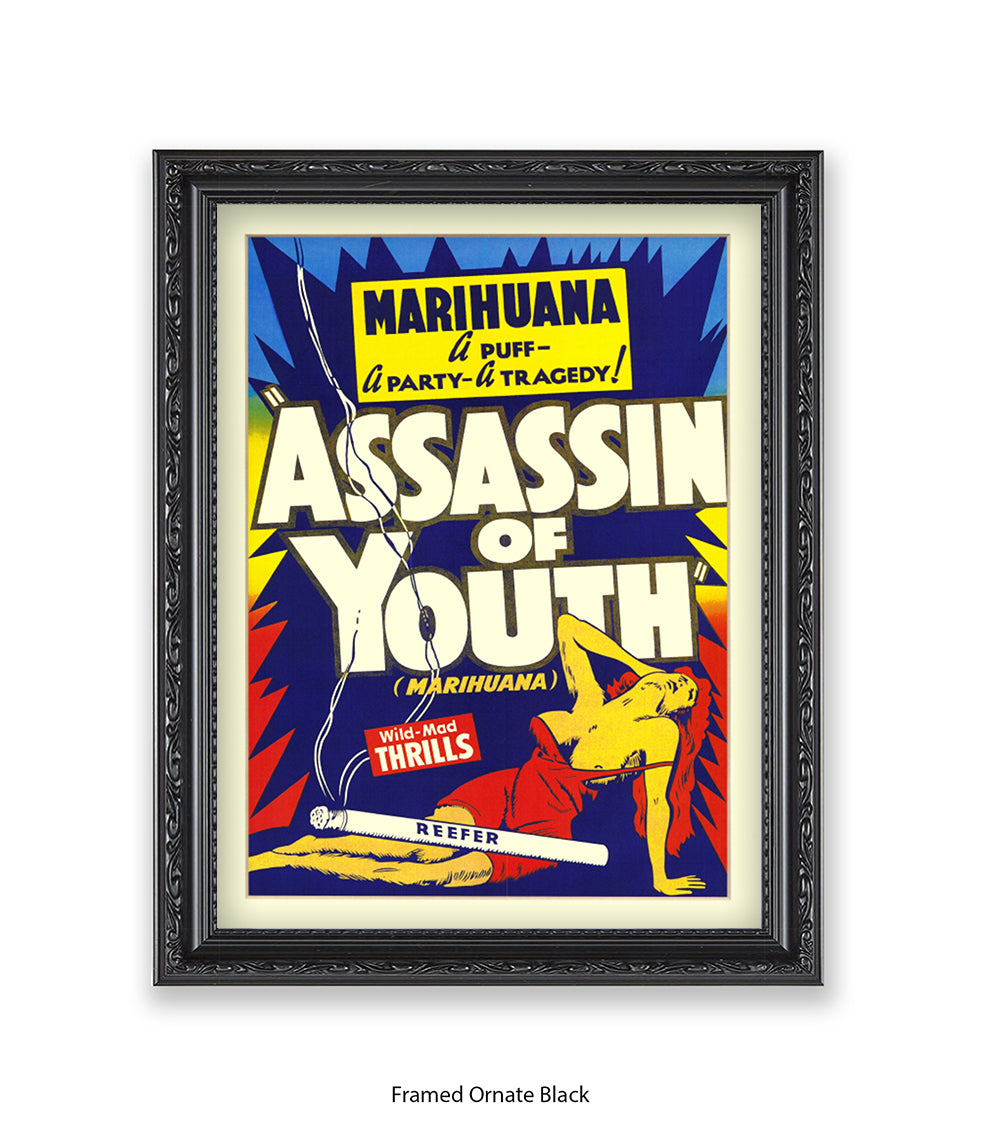 Assassin Of Youth Art Print