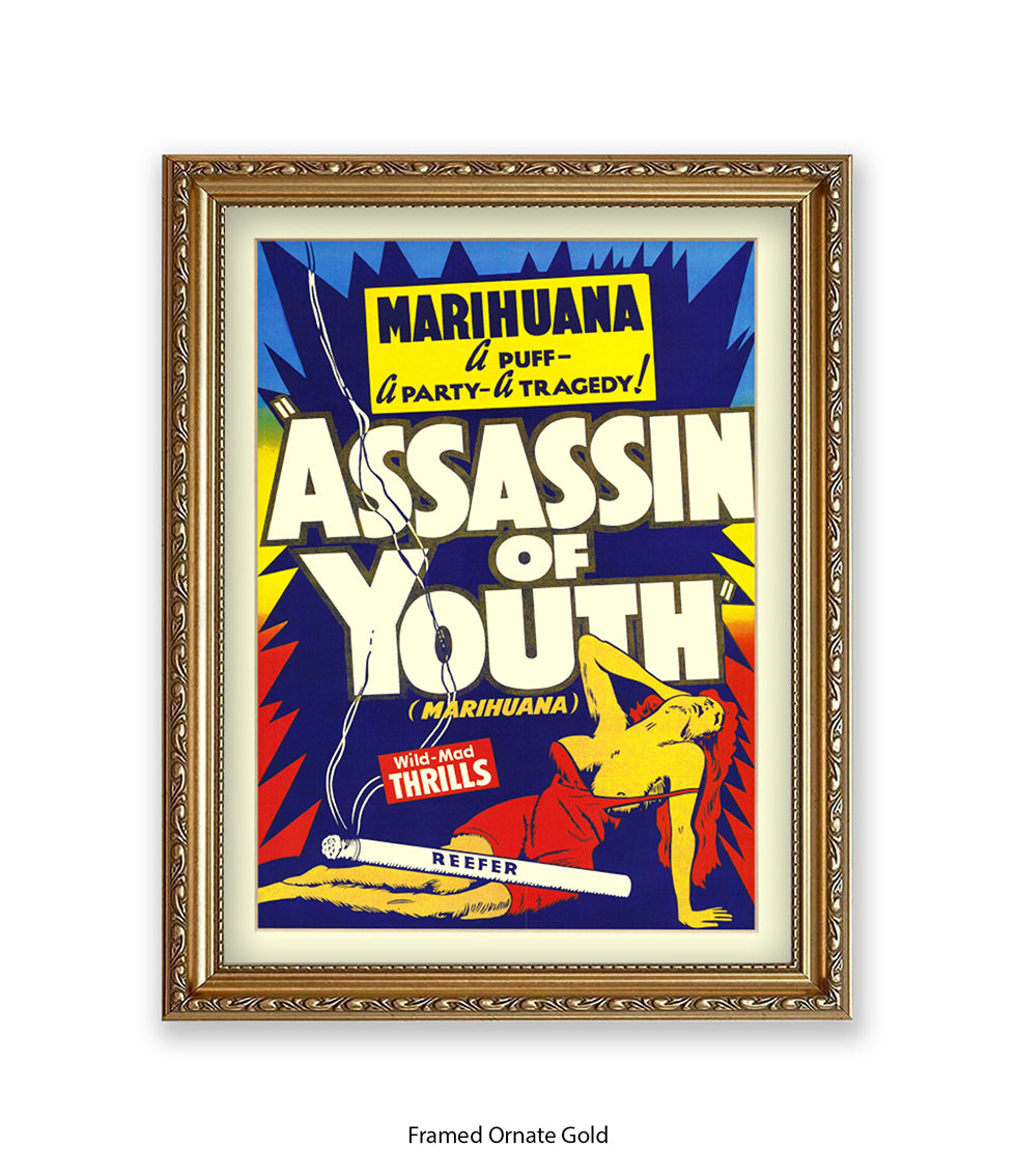 Assassin Of Youth Art Print