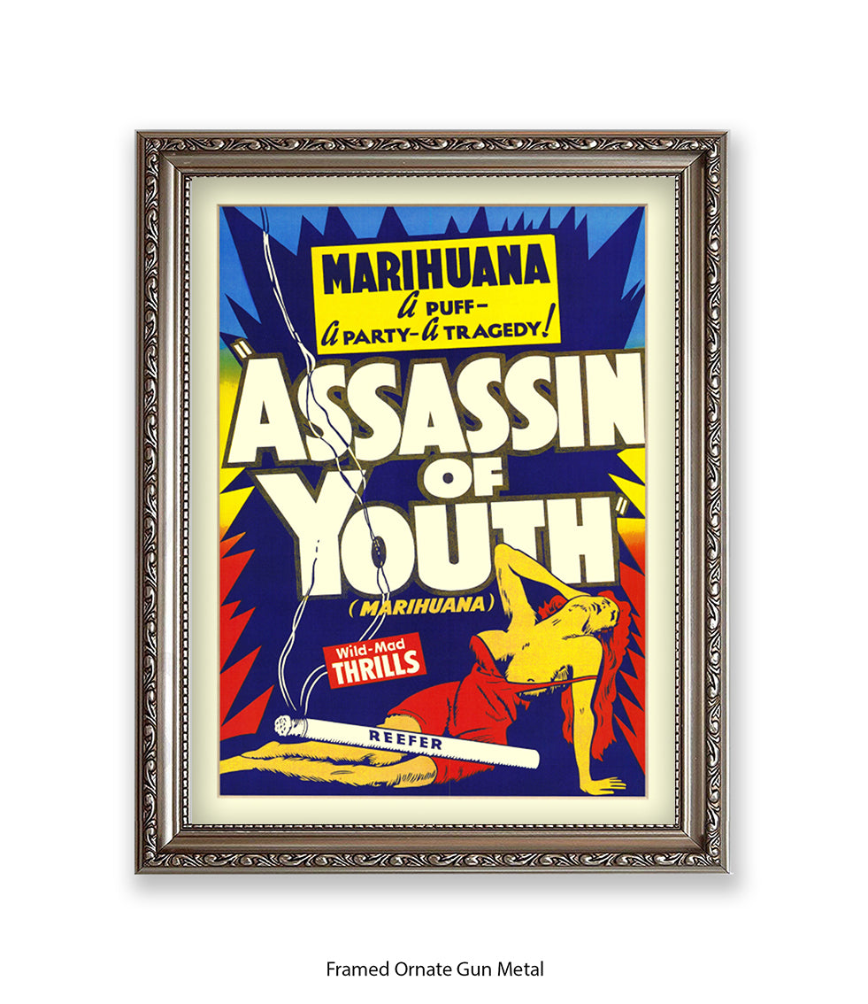 Assassin Of Youth Art Print