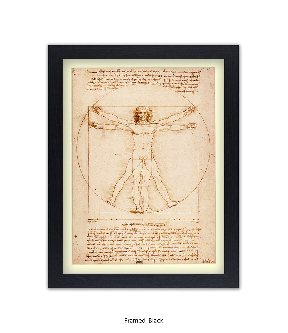 Vitruvian Man Art Print