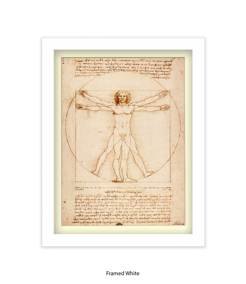 Vitruvian Man Art Print