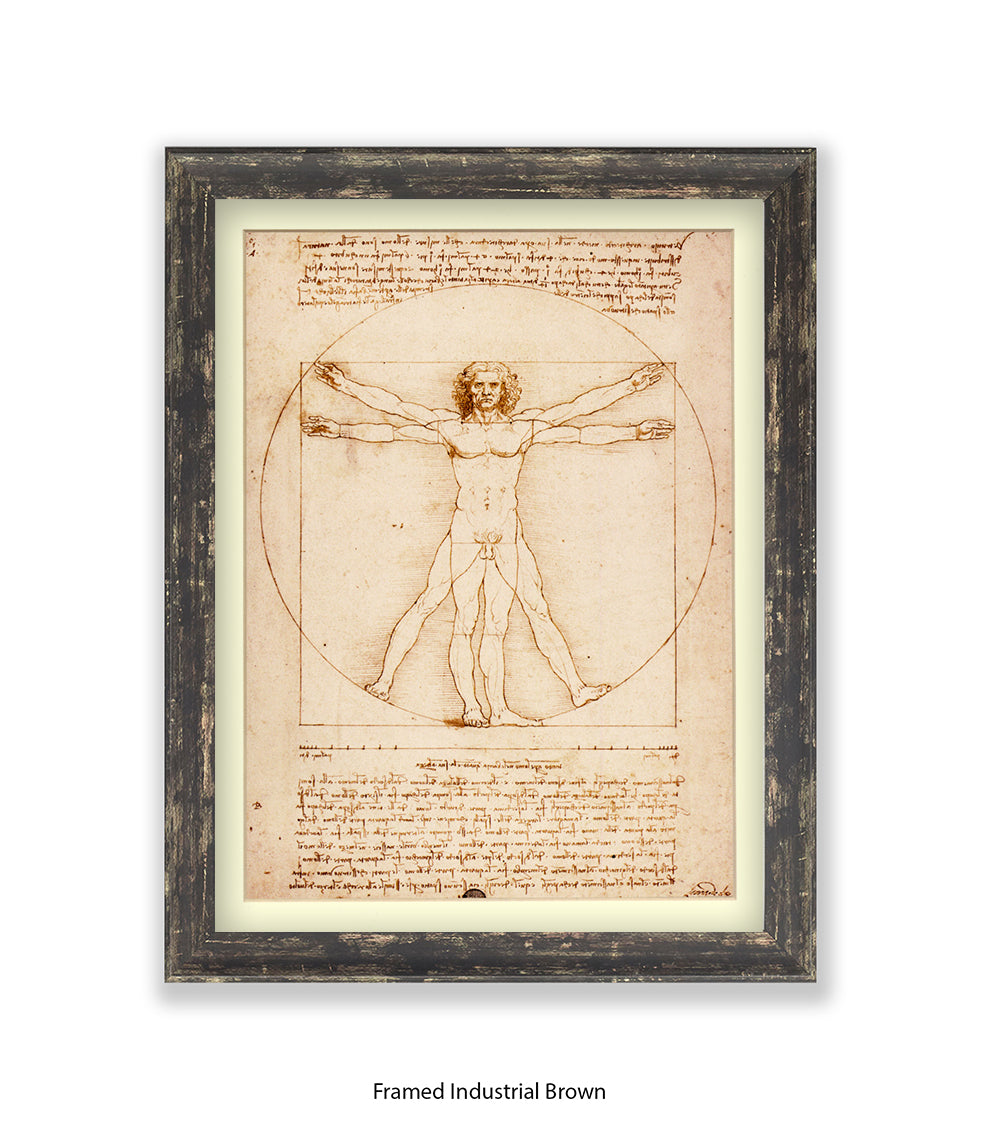Vitruvian Man Art Print
