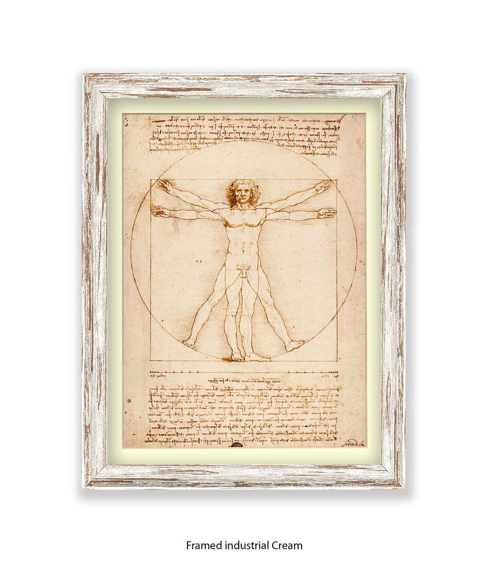 Vitruvian Man Art Print