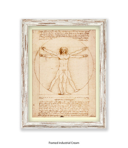 Vitruvian Man Art Print